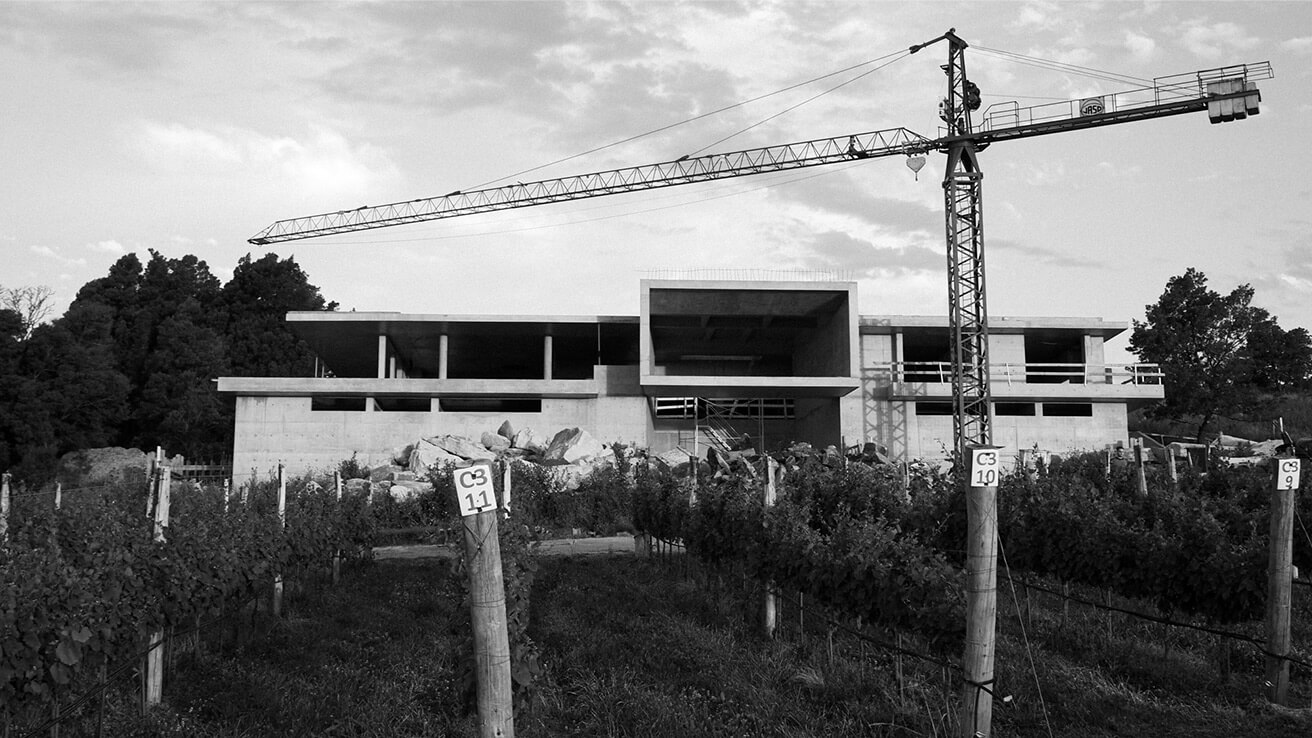 Conoce nuestros viñedos Castel Conegliano